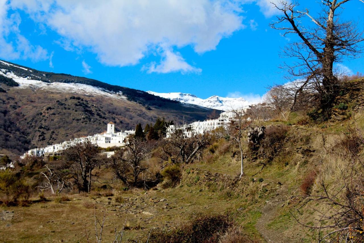 "Casa Ibero" Bubion, Alojamiento Turistico Rural Exterior photo
